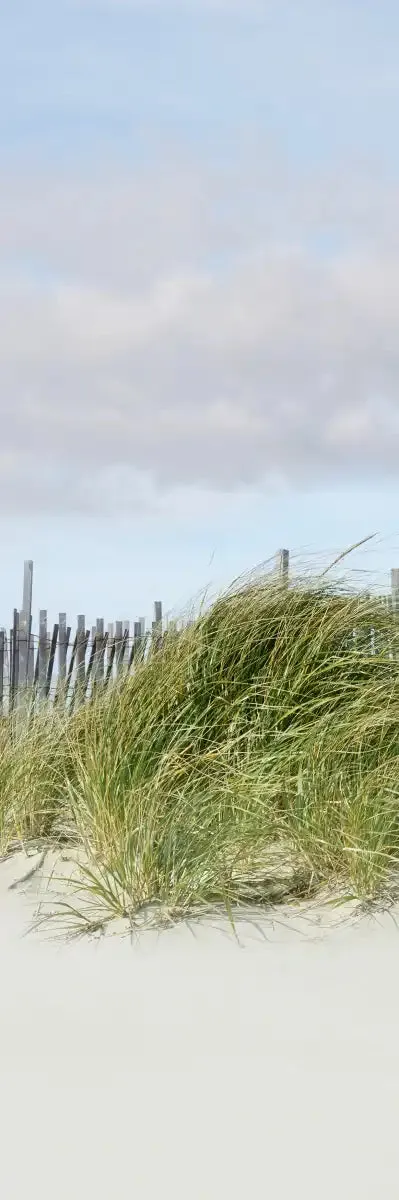 A Beachscape II Wall Art