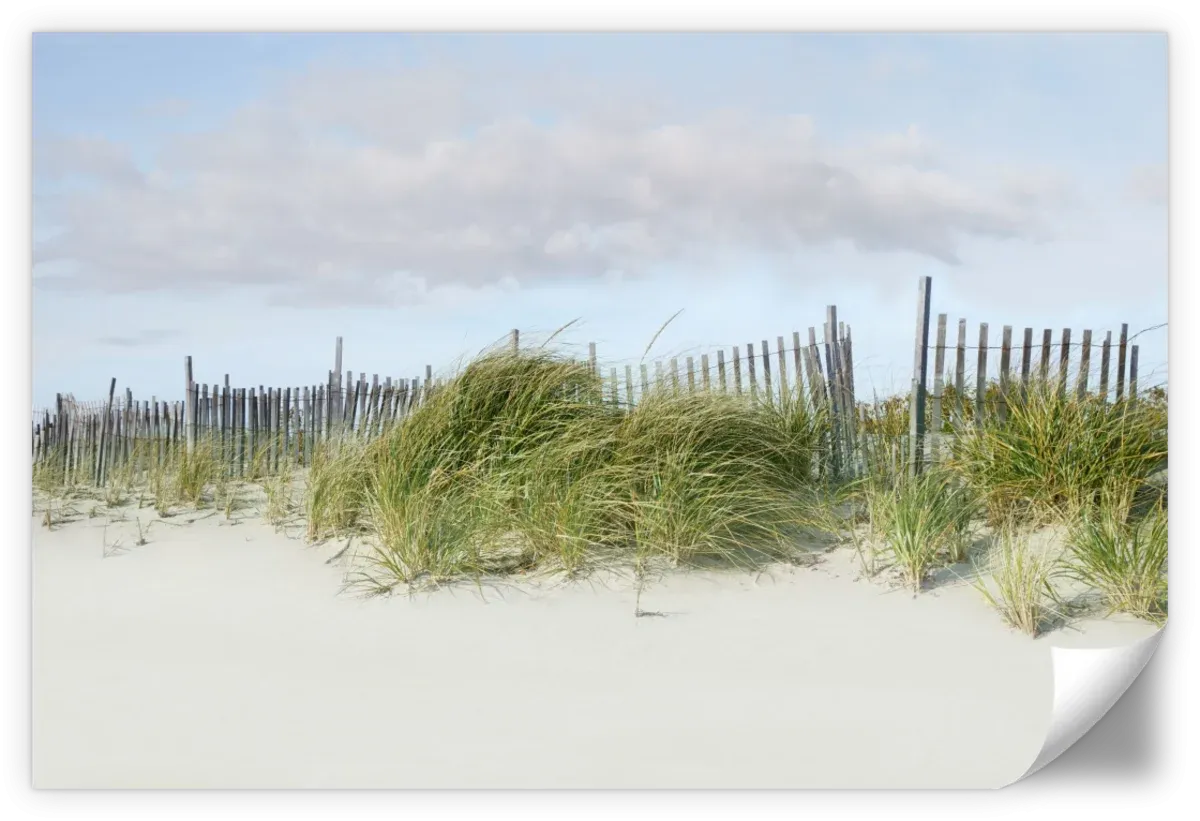 A Beachscape II Wall Art