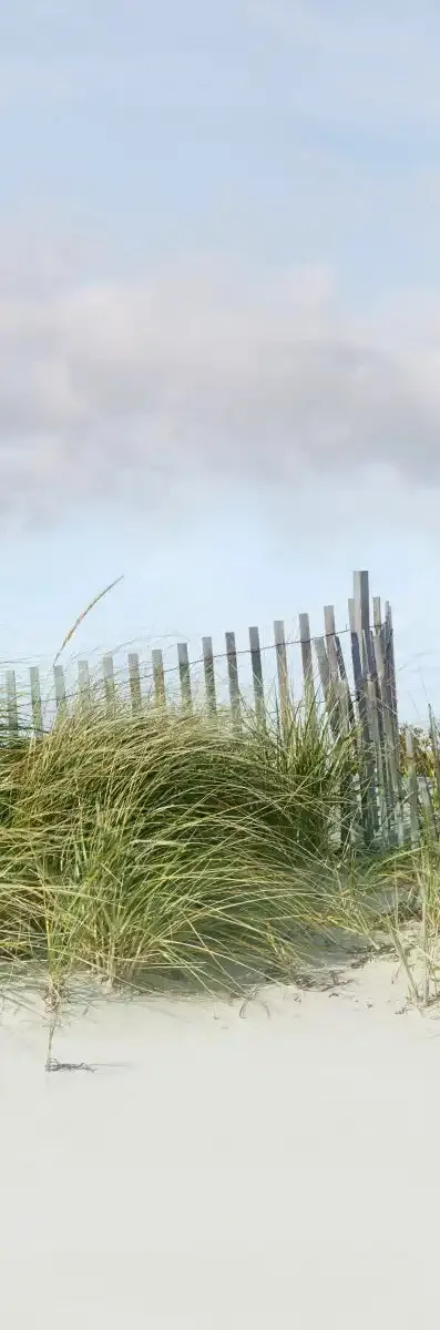 A Beachscape II Wall Art