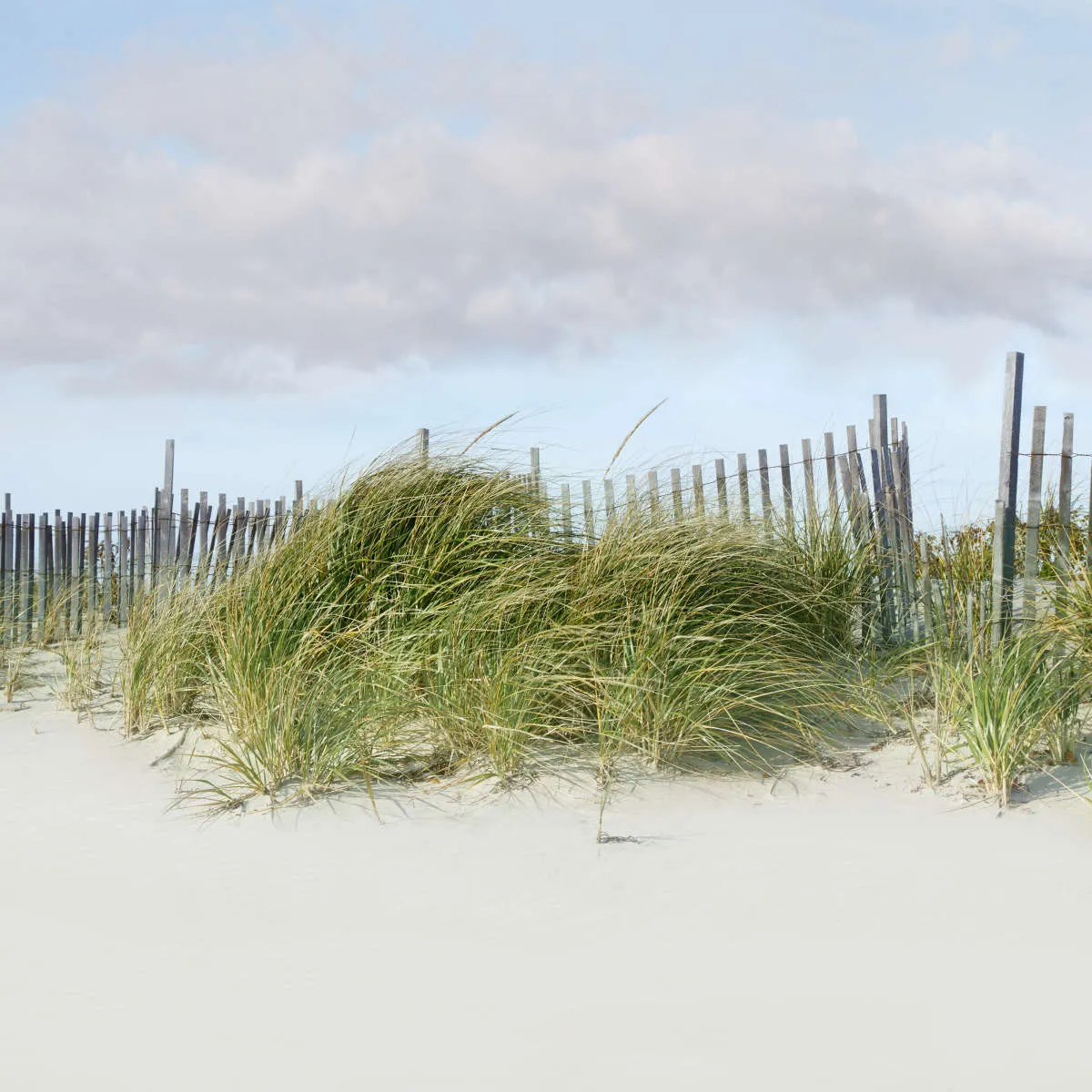 A Beachscape II Wall Art
