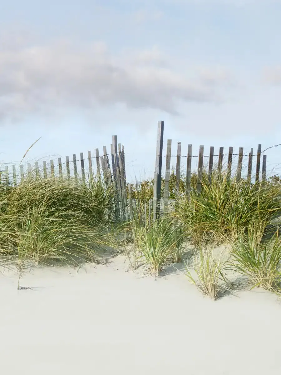 A Beachscape II Wall Art