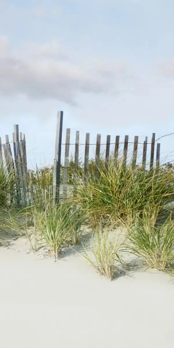 A Beachscape II Wall Art