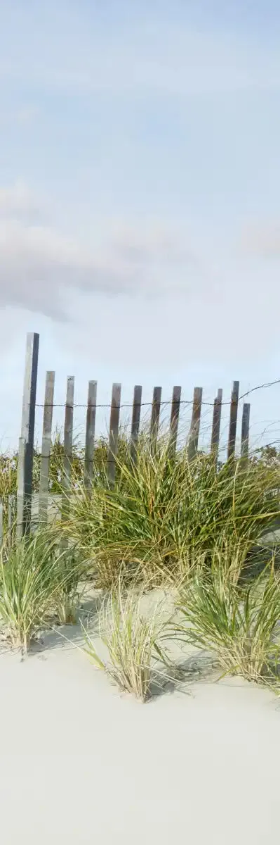 A Beachscape II Wall Art