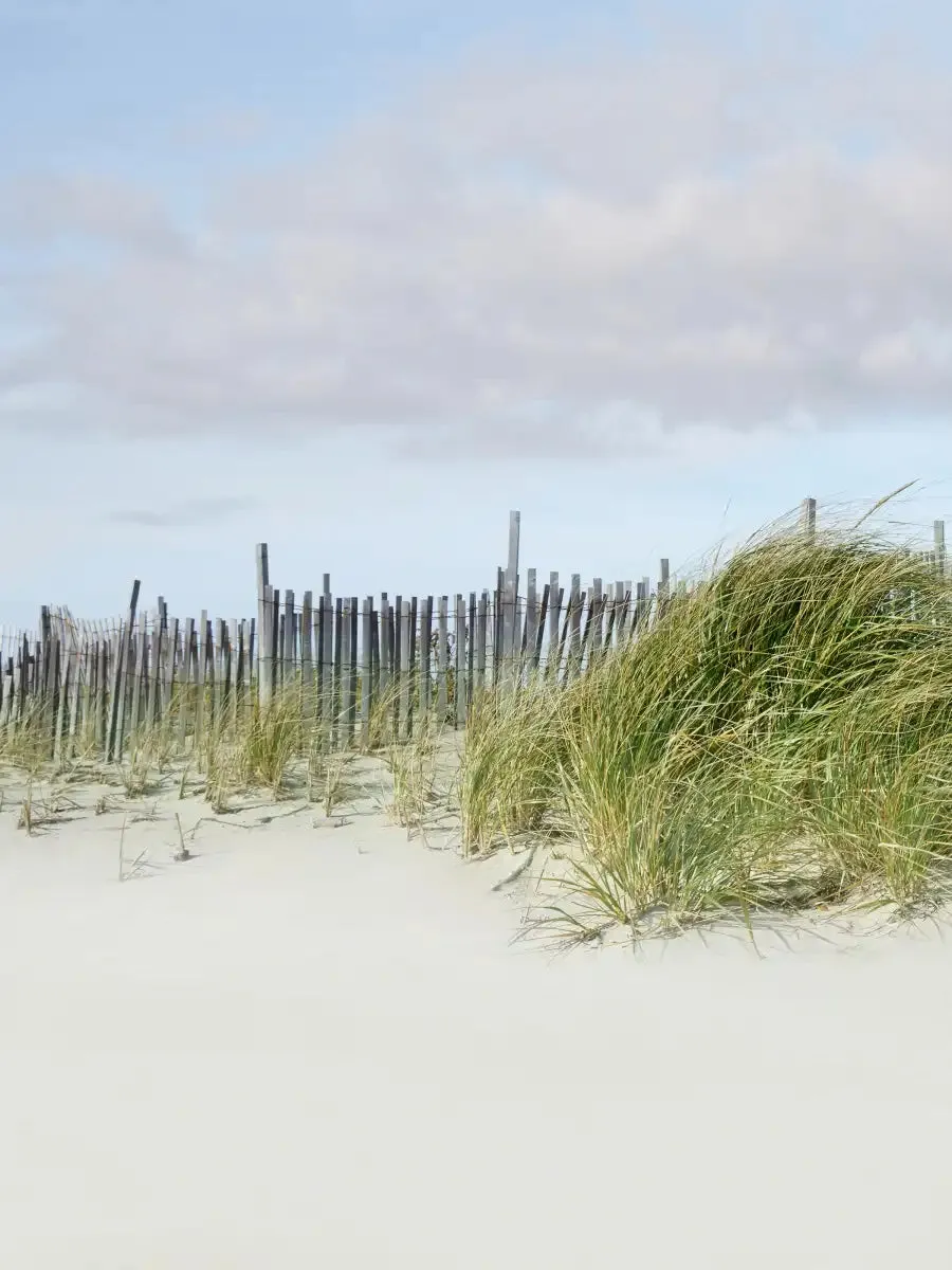 A Beachscape II Wall Art