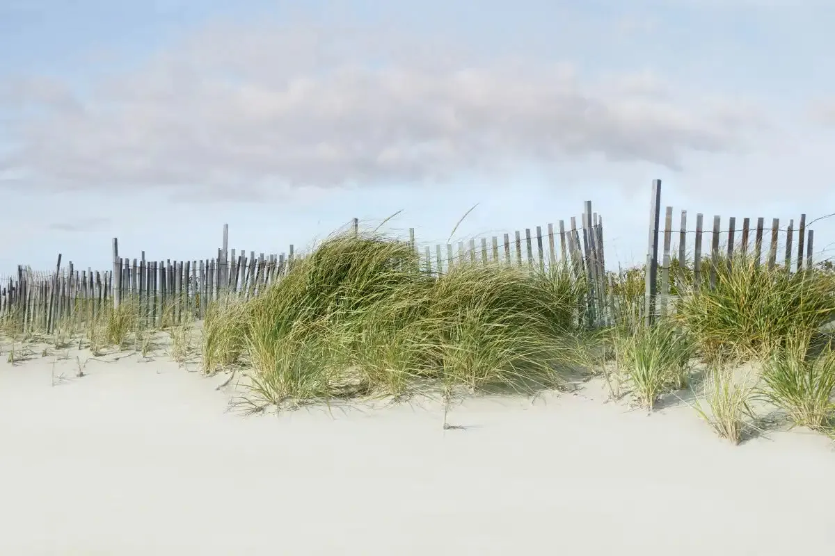 A Beachscape II Wall Art