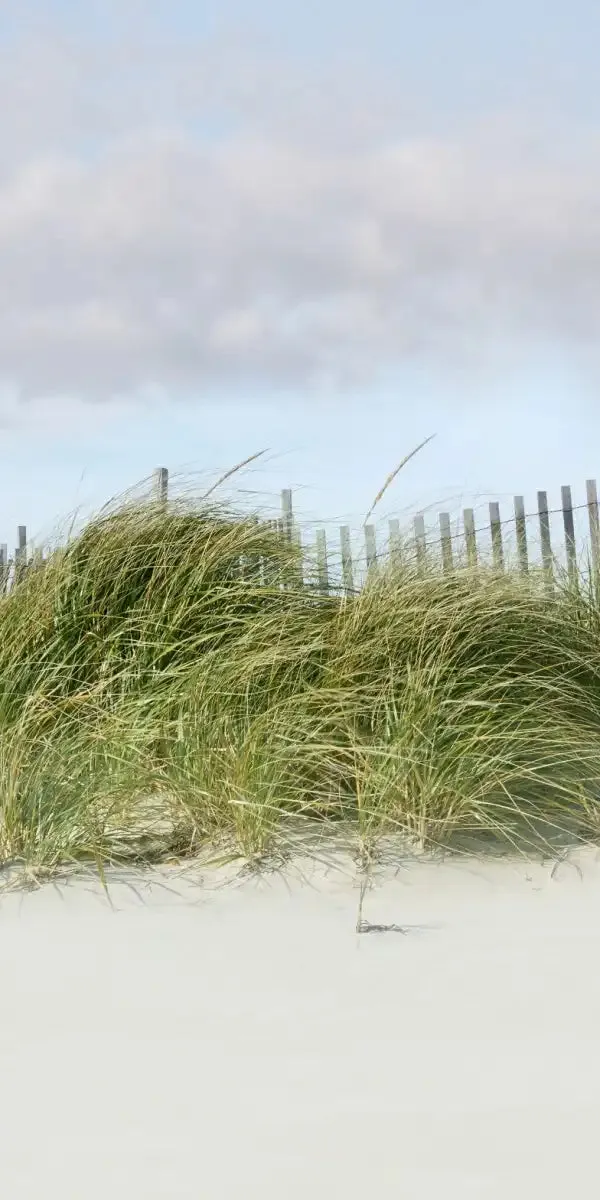 A Beachscape II Wall Art