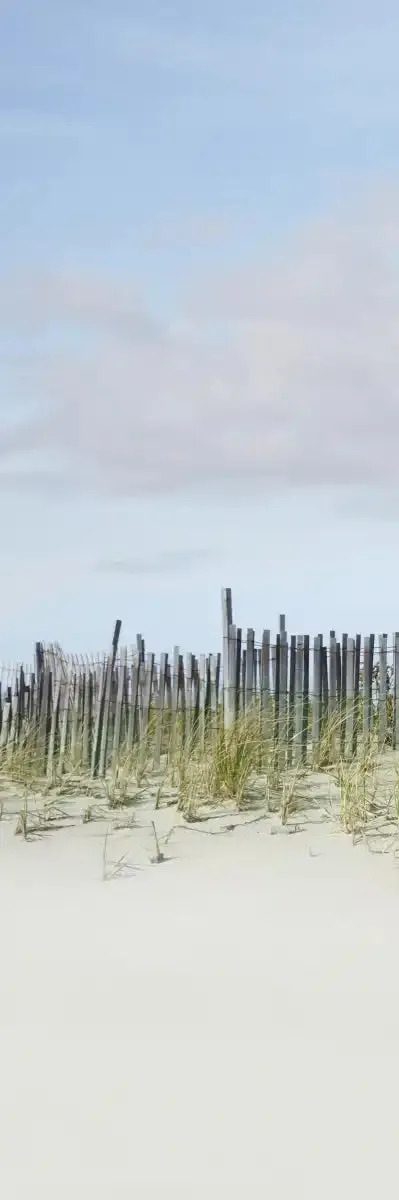 A Beachscape II Wall Art