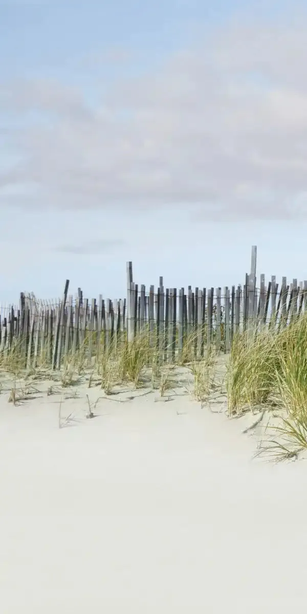 A Beachscape II Wall Art