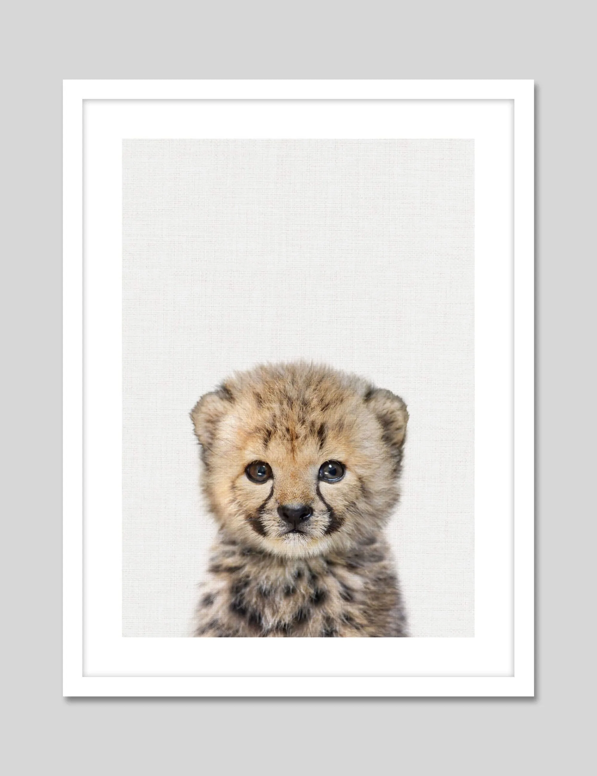 Baby Cheetah Peekaboo