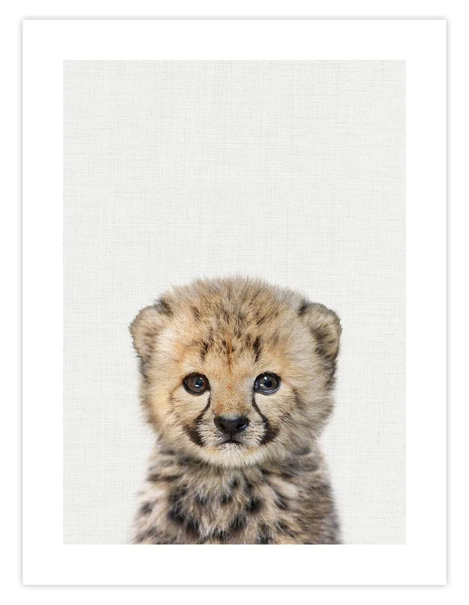 Baby Cheetah Peekaboo