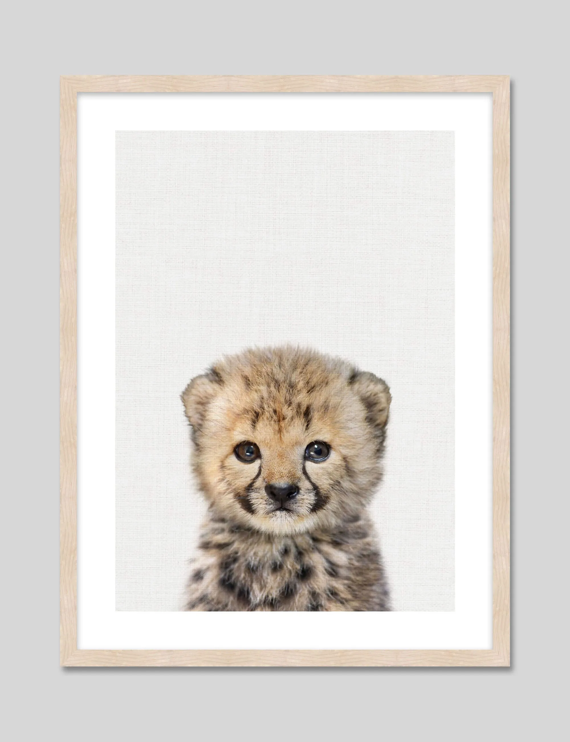 Baby Cheetah Peekaboo