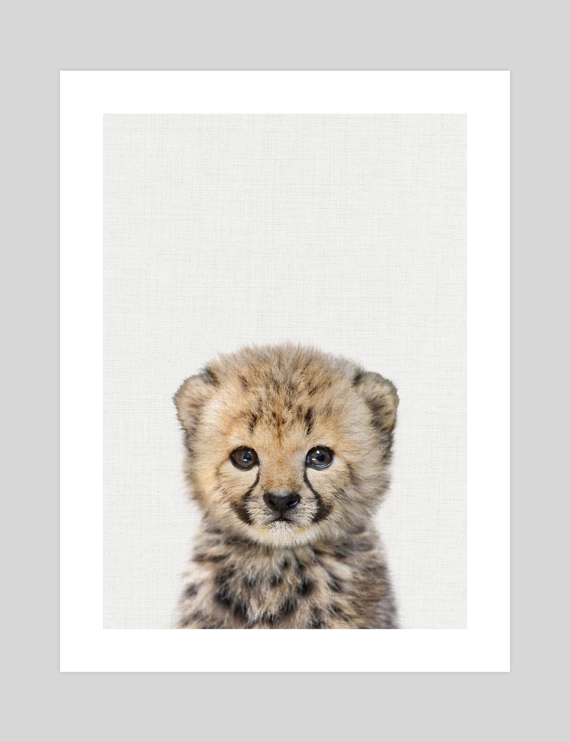 Baby Cheetah Peekaboo