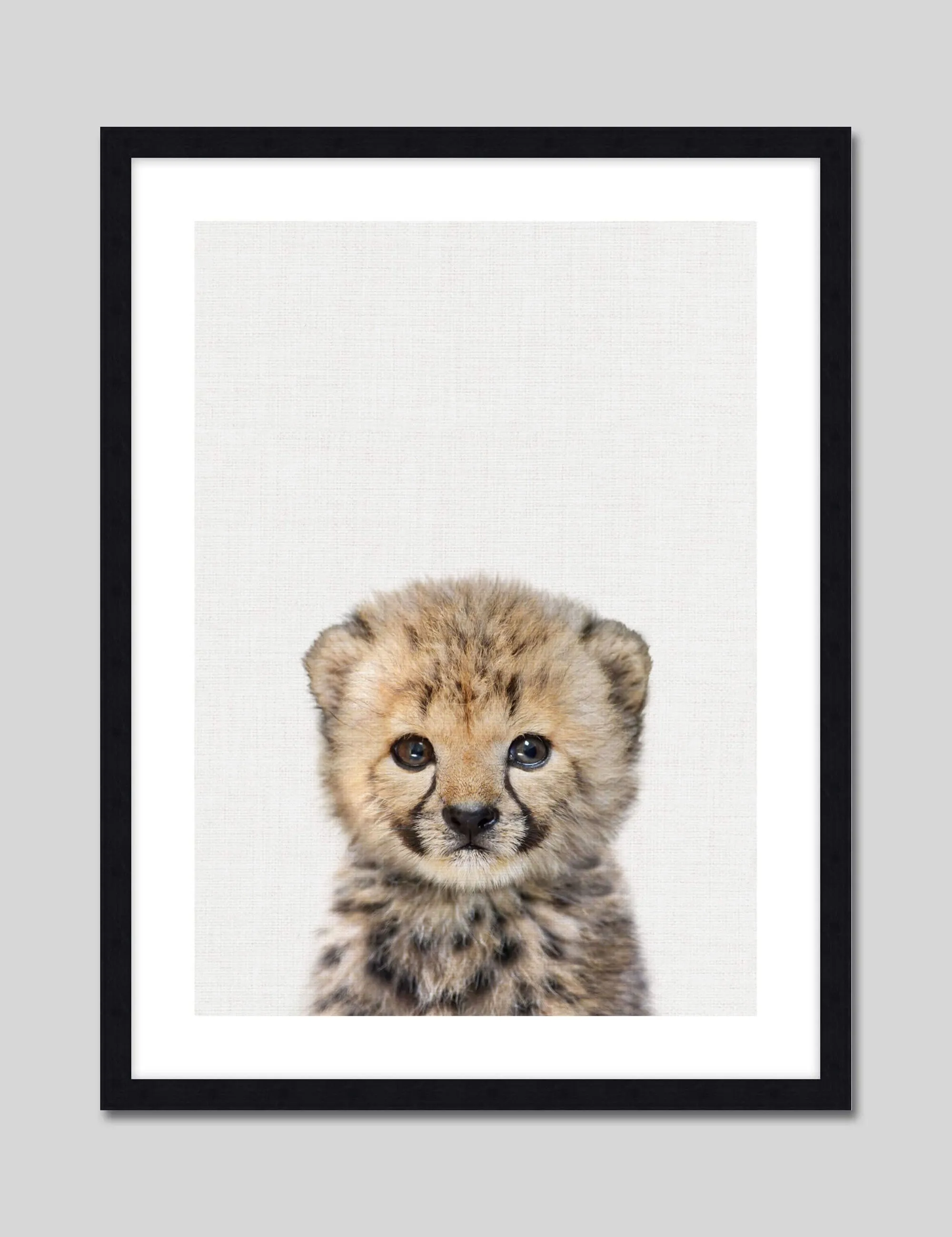 Baby Cheetah Peekaboo