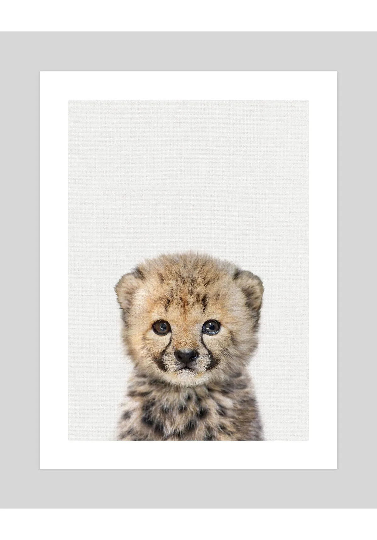 Baby Cheetah Peekaboo