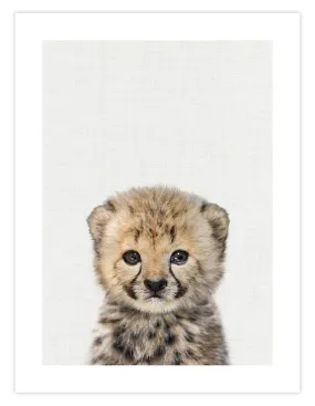 Baby Cheetah Peekaboo