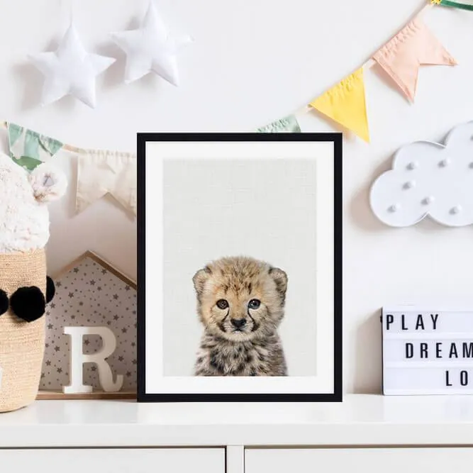Baby Cheetah Peekaboo