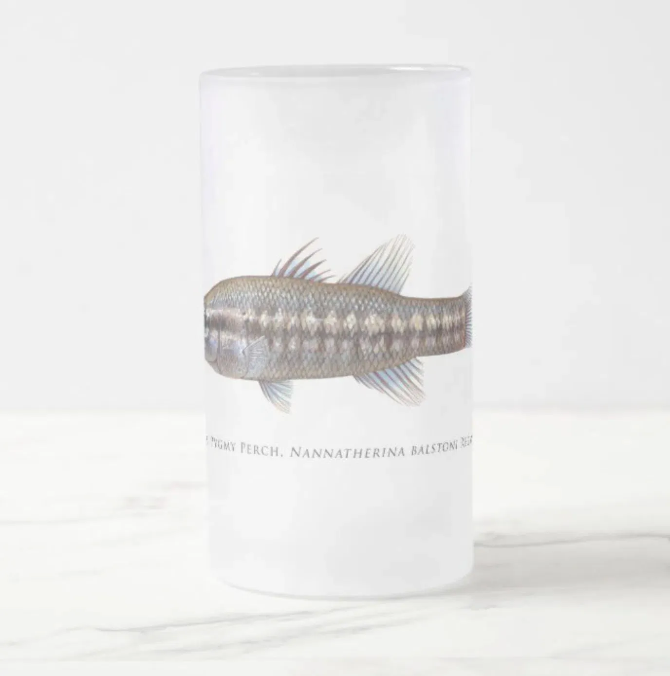 Balston's Pygmy Perch  - Frosted Glass Stein