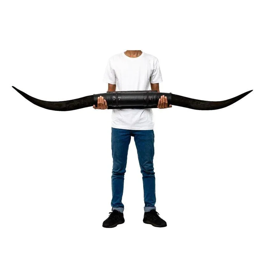 Black Cash Longhorn Mount