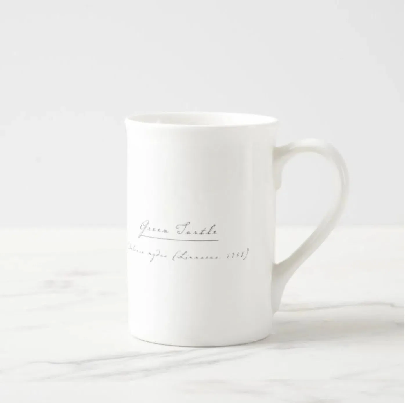 Green Sea Turtle - Fine Bone China Mug