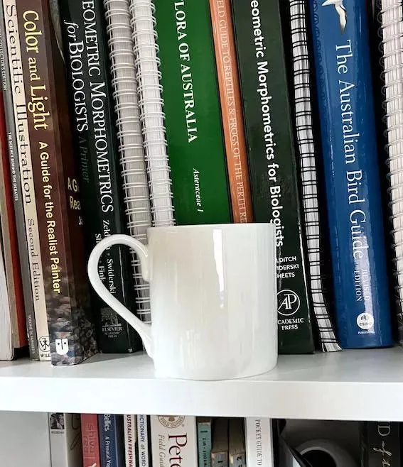 Sailfish - Fine Bone China Mug