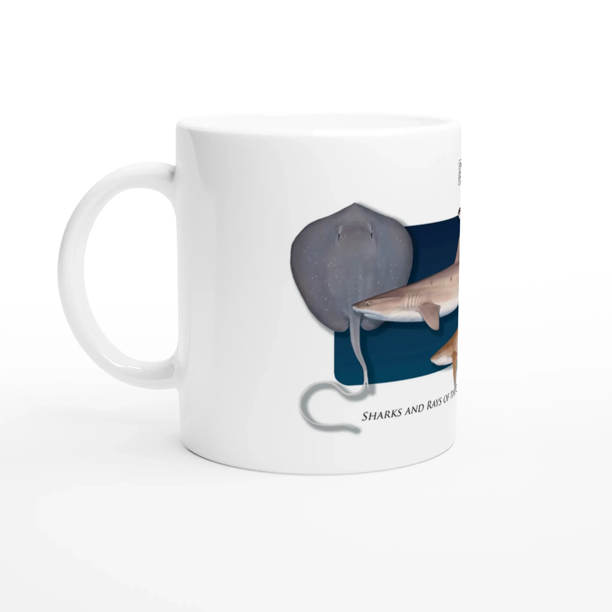 Sharks and Rays of the Coral Reef - Mug