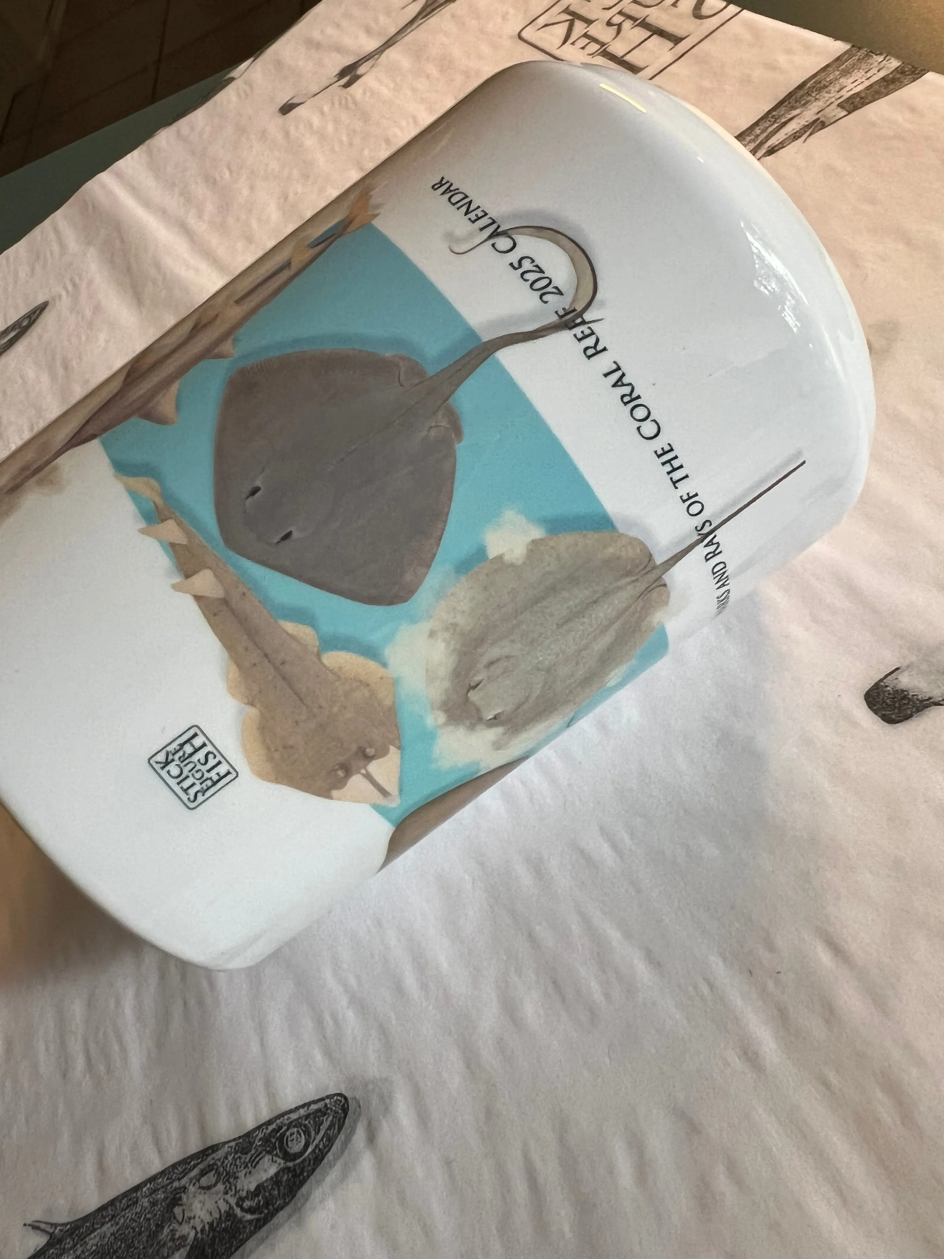 Sharks and Rays of the Coral Reef - Mug