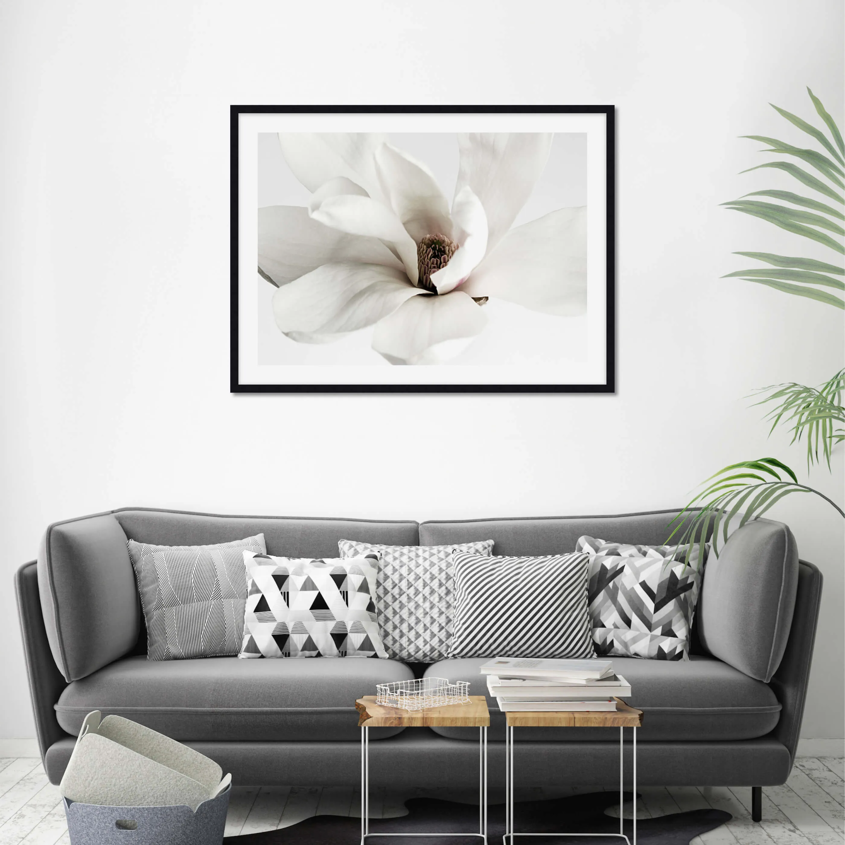 White Magnolia